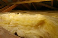 Inchture pitch roof insulation